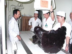 Chụp X-quang tại Bệnh viện Đa khoa Bắc Ninh - Ảnh: N.L.C